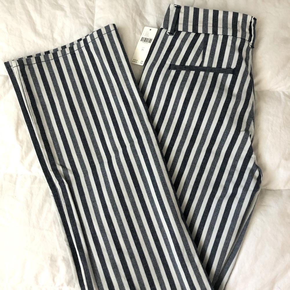 Anthropology pants